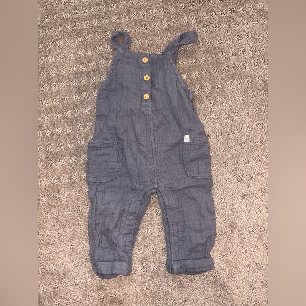 Carter little plant overall